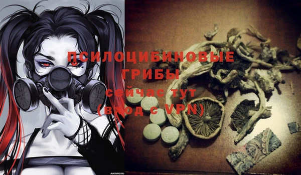 соль курить ск Алзамай