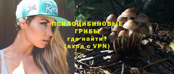соль курить ск Алзамай