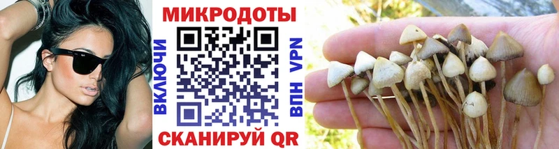 даркнет сайт  omg маркетплейс  Галлюциногенные грибы ЛСД  Заволжск 